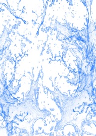 旭爺偏寵我 旭爺偏寵我